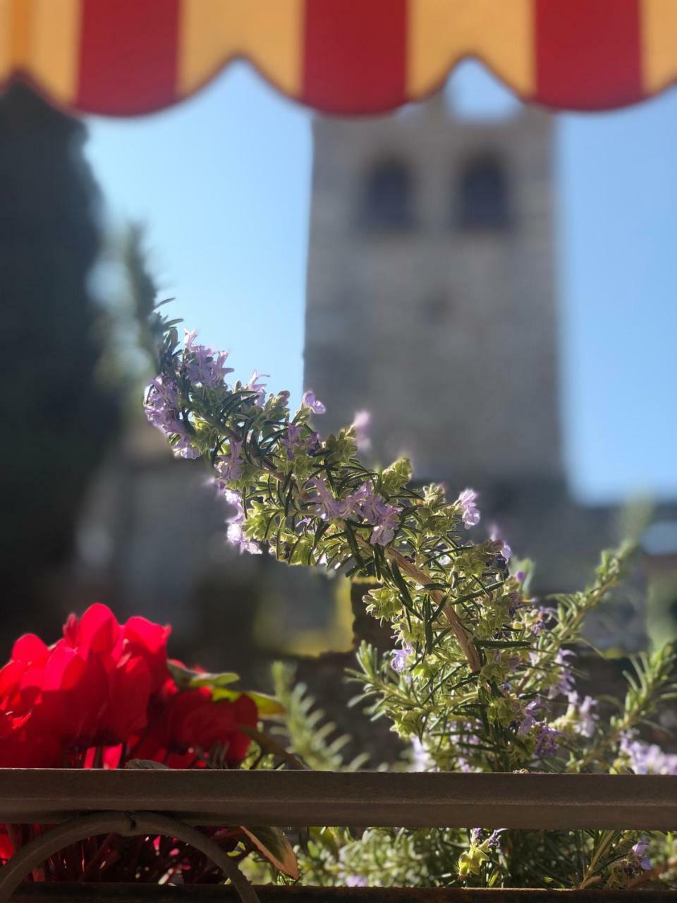 The Tower Of The Old King Bed & Breakfast Desenzano del Garda Exterior photo